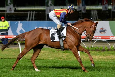moir stakes field|Moir Stakes field finalised .